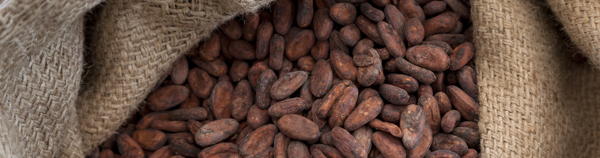 D-Van-Tuly-Bruinisse-Voor-Cacao-Zaden-Peulvruchten2